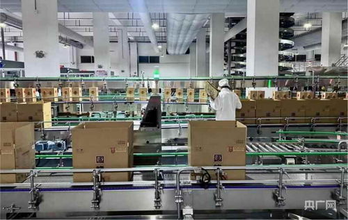 新質造零碳工廠 智慧酒香飄出，軟件定義釀造未來